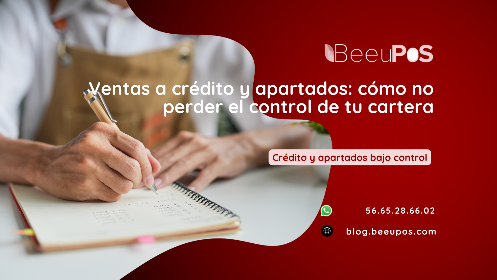 Ventas a crédito y apartados: control de cartera — BeeuPOS